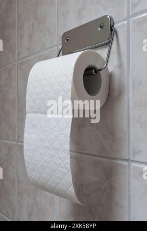 rotolo di carta igienica nel supporto sulla parete piastrellata Foto Stock