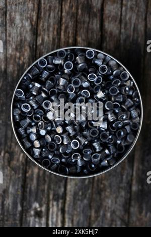 Proiettili di piombo per un fucile ad aria compressa. Proiettili per armi sportive. Una lattina di proiettili. Foto Stock
