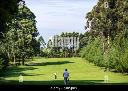 Kericho Golf Course Club Nairobi Road Londiani Kipkelion East Kericho Golf Course Club golfisti camminando nel campo verde Nairobi Road Londiani Kipkel Foto Stock