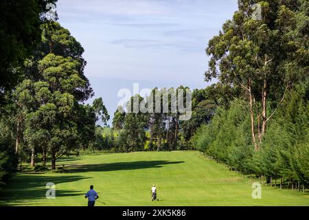 Kericho Golf Course Club Nairobi Road Londiani Kipkelion East Kericho Golf Course Club golfisti camminando nel campo verde Nairobi Road Londiani Kipkel Foto Stock