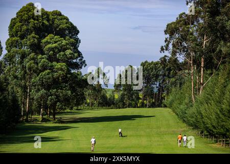 Kericho Golf Course Club Nairobi Road Londiani Kipkelion East Kericho Golf Course Club golfisti camminando nel campo verde Nairobi Road Londiani Kipkel Foto Stock