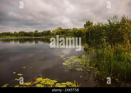 paesaggio serale sul lago. le nuvole prima di un temporale creano un'atmosfera pittoresca. Foto Stock