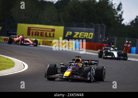 01 VERSTAPPEN Max (nld), Red Bull Racing RB20, azione durante il Gran Premio d'Ungheria di Formula 1 2024, 13° round del Campionato del mondo di Formula 1 2024 dal 19 al 21 luglio 2024 sull'Hungaroring, a Mogyorod, Ungheria Foto Stock