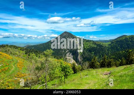 Vista panoramica delle vette vulcaniche a forma di cupola (SUCS) nel Parco naturale regionale dei Monts d'Ardeche. Alvernia-Rodano-Alpi. Francia Foto Stock