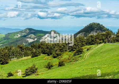 Vista panoramica delle vette vulcaniche a forma di cupola (SUCS) nel Parco naturale regionale dei Monts d'Ardeche. Alvernia-Rodano-Alpi. Francia Foto Stock