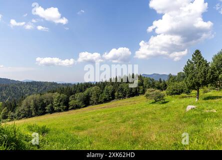 Sommer in Bayern die Sonne scheint bei blauem Himmel und nur wenigen Wolken auf die Landschaft im Bayerischen Wald, rechts im Hintergrund der Große und Kleine Osser., Lohberg Bayern Deutschland *** Estate in Baviera il sole splende sotto un cielo azzurro e solo poche nuvole sul paesaggio della Foresta bavarese, sulla destra sullo sfondo il Großer e Kleiner Osser , Lohberg Baviera Germania Foto Stock