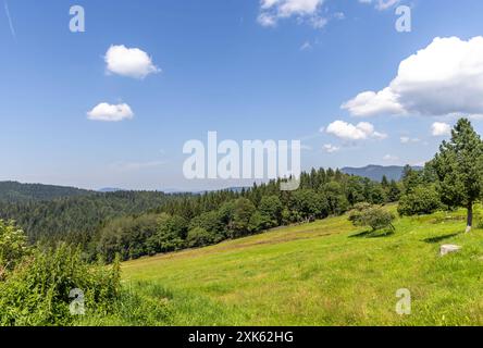 Sommer in Bayern die Sonne scheint bei blauem Himmel und nur wenigen Wolken auf die Landschaft im Bayerischen Wald, rechts im Hintergrund der Große und Kleine Osser., Lohberg Bayern Deutschland *** Estate in Baviera il sole splende sotto un cielo azzurro e solo poche nuvole sul paesaggio della Foresta bavarese, sulla destra sullo sfondo il Großer e Kleiner Osser , Lohberg Baviera Germania Foto Stock