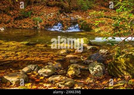 Rocky Streambed illustra l'acqua bassa su una piccola cascata nel Tennessee rurale. Foto Stock