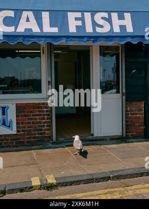 Un gabbiano attende, si spera, fuori da un negozio di pesce e chip sul mare a Folkestone, Kent, Inghilterra, Regno Unito - Gran Bretagna, tutti i giorni Foto Stock