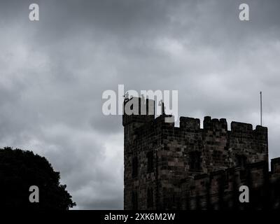 Costruito nell'XI secolo, il castello di Alnwick è uno dei più grandi castelli abitati d'Inghilterra. Foto Stock