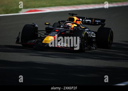 01 VERSTAPPEN Max (nld), Red Bull Racing RB20, azione durante il Gran Premio d'Ungheria di Formula 1 2024, 13° round del Campionato del mondo di Formula 1 2024 dal 19 al 21 luglio 2024 sull'Hungaroring, a Mogyorod, Ungheria Foto Stock