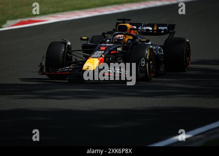 01 VERSTAPPEN Max (nld), Red Bull Racing RB20, azione durante il Gran Premio d'Ungheria di Formula 1 2024, 13° round del Campionato del mondo di Formula 1 2024 dal 19 al 21 luglio 2024 sull'Hungaroring, a Mogyorod, Ungheria Foto Stock