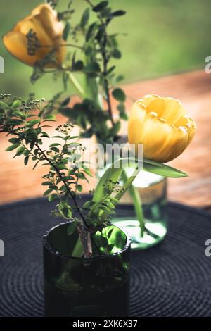 Vasi con tulipani gialli, decorazioni in bottiglie di vino verde, punta artigianale Foto Stock