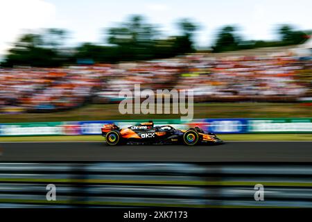 Budapest, Ungheria. 21 luglio 2024. Durante il Gran Premio d'Ungheria di Formula 1 2024, 13° round del Campionato del mondo di Formula 1 2024 dal 19 al 21 luglio 2024 sull'Hungaroring, a Mogyorod, Ungheria - Photo DPPI Credit: DPPI Media/Alamy Live News Foto Stock