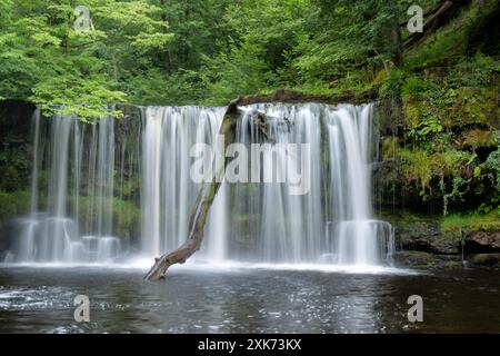 Upper Ddwli Falls o Upper Gushing Falls. Parte della passeggiata di campagna delle cascate nel Brecon Beacons National Park, Powys, Galles, Regno Unito Foto Stock