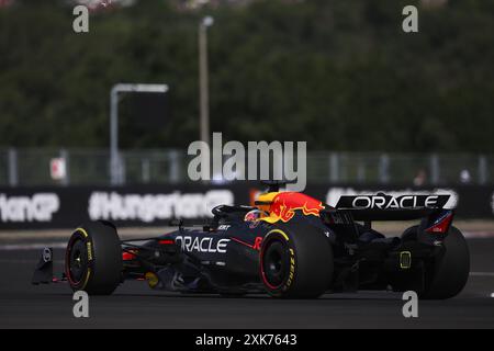 01 VERSTAPPEN Max (nld), Red Bull Racing RB20, azione durante il Gran Premio d'Ungheria di Formula 1 2024, 13° round del Campionato del mondo di Formula 1 2024 dal 19 al 21 luglio 2024 sull'Hungaroring, a Mogyorod, Ungheria Foto Stock