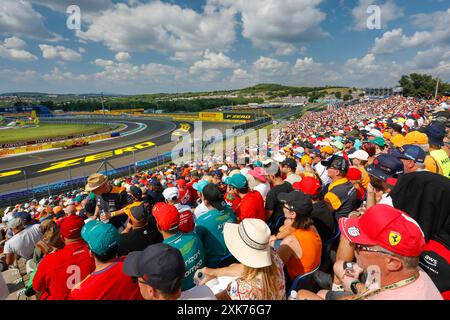 Mogyorod, Ungheria. 21 luglio 2024. Formula 1 Gran Premio d'Ungheria a Hungaroring, Ungheria. Nella foto: Spettatori della tribuna che guardano la gara © Piotr Zajac/Alamy Live News Foto Stock