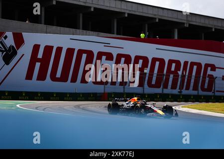 01 VERSTAPPEN Max (nld), Red Bull Racing RB20, azione durante il Gran Premio d'Ungheria di Formula 1 2024, 13° round del Campionato del mondo di Formula 1 2024 dal 19 al 21 luglio 2024 sull'Hungaroring, a Mogyorod, Ungheria Foto Stock