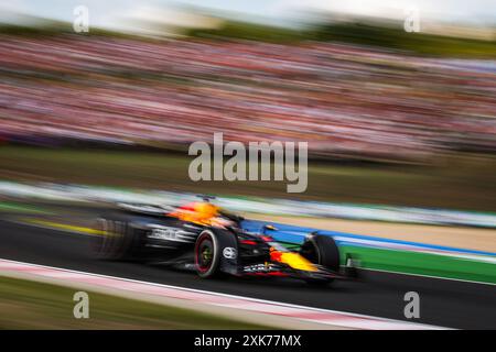 01 VERSTAPPEN Max (nld), Red Bull Racing RB20, azione durante il Gran Premio d'Ungheria di Formula 1 2024, 13° round del Campionato del mondo di Formula 1 2024 dal 19 al 21 luglio 2024 sull'Hungaroring, a Mogyorod, Ungheria Foto Stock