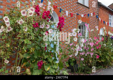 Coloratissimi hollyhocks che crescono di fronte a una casa con bunting, Inghilterra, Regno Unito Foto Stock