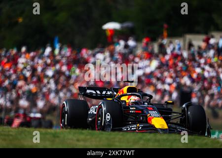 01 VERSTAPPEN Max (nld), Red Bull Racing RB20, azione durante il Gran Premio d'Ungheria di Formula 1 2024, 13° round del Campionato del mondo di Formula 1 2024 dal 19 al 21 luglio 2024 sull'Hungaroring, a Mogyorod, Ungheria Foto Stock