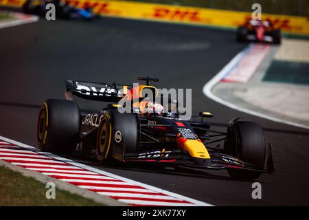 01 VERSTAPPEN Max (nld), Red Bull Racing RB20, azione durante il Gran Premio d'Ungheria di Formula 1 2024, 13° round del Campionato del mondo di Formula 1 2024 dal 19 al 21 luglio 2024 sull'Hungaroring, a Mogyorod, Ungheria Foto Stock