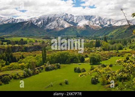 La montagna da freccia Junction, Arrowtown, bacino Wakatipu vicino a Queenstown, Isola del Sud, Nuova Zelanda Foto Stock