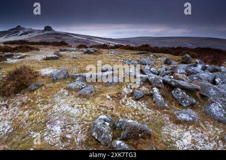 Vista verso Haytor Rocks. Haytor o Hay Tor è un granito a Dartmoor, nella contea inglese del Devon. Foto Stock