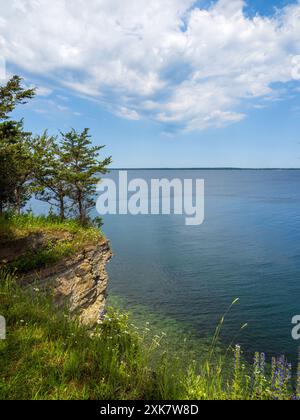 Dal Robert G. Wehle State Park di New York, una splendida vista sul lago Ontario rivela alberi arroccati su una scogliera illuminata dal sole accanto all'acqua, con fiori vivaci Foto Stock