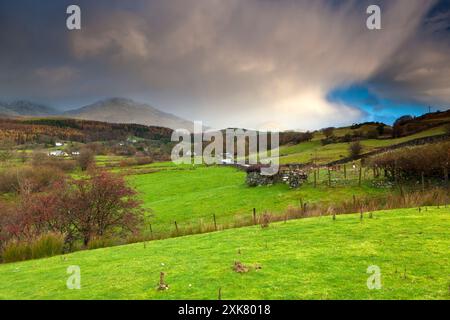 Vista da Torver verso il vecchio di Coniston, Torver, Parco Nazionale del Distretto dei Laghi, Cumbria, Inghilterra, Europa Foto Stock