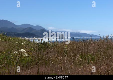 Cannon Beach, inclusa Haystack Rock, vista dall'Ecola State Park a Tillamook Head sulla costa dell'Oregon. Foto Stock