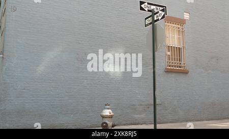 Incrocio a New York City, incrocio con Minetta Street, cartello con la freccia a senso unico. Edificio residenziale Manhattan Greenwich Village, New York, Stati Uniti. Muro di mattoni blu, idrante di fuoco. Foto Stock