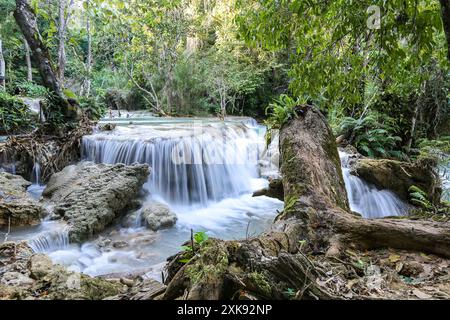 Luang Prabang, Laos: Cascate di Kuang si, cascate, cascate, piscine turchesi, foresta, alberi, rocce, radici, gioielli naturali, bagni aperti, nuoto Foto Stock