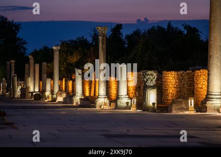 Vista serale della strada colonnata nell'antica città di Efeso a Selcúk Foto Stock