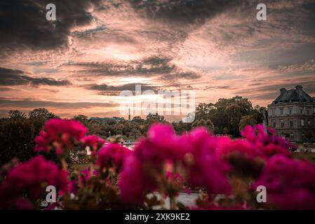 Fiori vivaci e tramonto nel Jardin du Luxembourg - Parigi, Francia Foto Stock