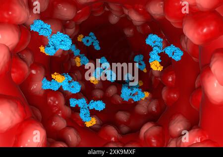 Trattamento con anticorpi monoclonali nella colite ulcerosa (UC) - Vista in sezione illustrazione 3d. Foto Stock