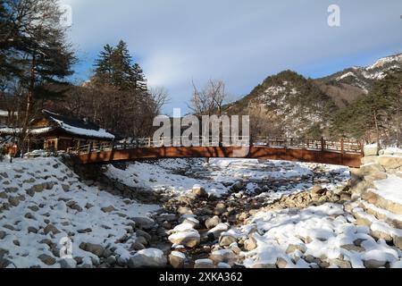 Paesaggio montano con neve e pini in inverno, montagna Seoraksan della Corea del Sud Foto Stock