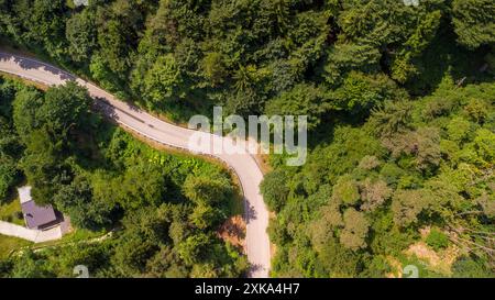 Lago di Ledro, Italia - 21 luglio 2024: Una strada tortuosa si snoda attraverso una fitta foresta nei pressi del Lago di Ledro. Vista aerea *** Eine kurvige Straße windet sich durch einen dichten Wald nahe dem Lago di Ledro in italiano. Luftaufnahme Foto Stock