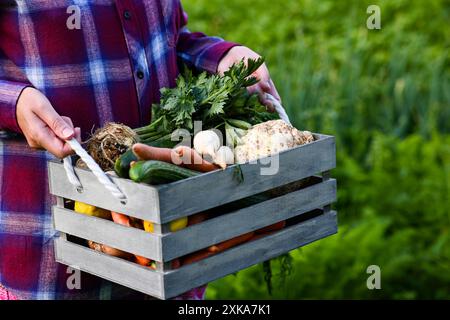 L'agricoltore tiene in mano una cassa di legno piena di verdure biologiche fresche, appena raccolte dall'orto. Foto Stock