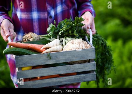 L'agricoltore tiene in mano una cassa di legno piena di verdure biologiche fresche, appena raccolte dall'orto. Foto Stock