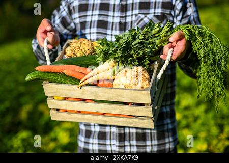 L'agricoltore tiene in mano una cassa di legno piena di verdure biologiche fresche, appena raccolte dall'orto. Foto Stock