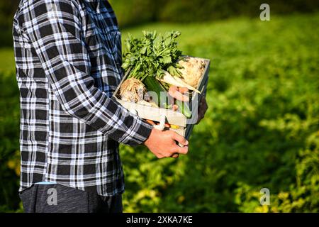 L'agricoltore tiene in mano una cassa di legno piena di verdure biologiche fresche, appena raccolte dall'orto. Foto Stock