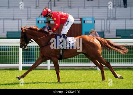 Foto del file datata 03-05-2023 di Wise Eagle. Un ritorno a York per lo Sky Bet Ebor è sulle carte di Wise Eagle dopo un miglioramento delle prestazioni nella Silver Cup sul Knavesmire all'inizio di questo mese. Data di pubblicazione: Lunedì 22 luglio 2024. Foto Stock