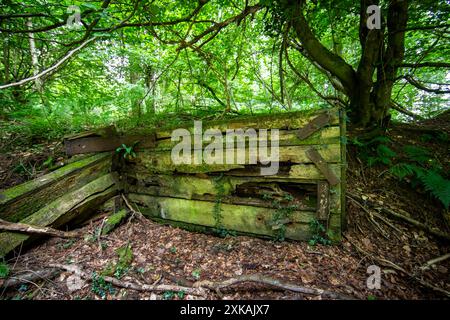 Resti di una vecchia ferrovia che si trova sul sito di un ex tram della Foresta di Dean a Coalpit Hill. Foto Stock