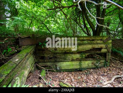 Resti di una vecchia ferrovia che si trova sul sito di un ex tram della Foresta di Dean a Coalpit Hill. Foto Stock