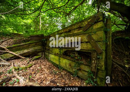 Resti di una vecchia ferrovia che si trova sul sito di un ex tram della Foresta di Dean a Coalpit Hill. Foto Stock