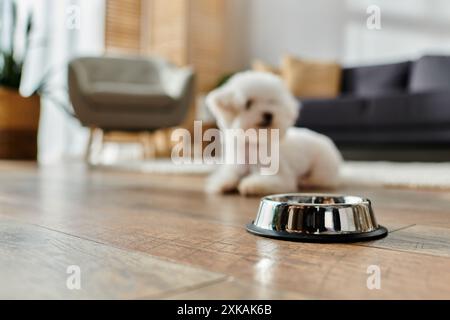 Un piccolo cane bianco steso tranquillamente accanto a una ciotola sul pavimento. Foto Stock