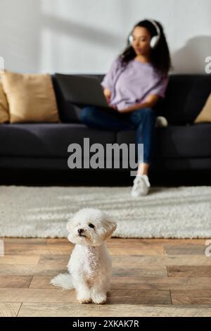 Un piccolo cane bianco di bichon che siede su un pavimento di legno duro, accanto alla donna. Foto Stock