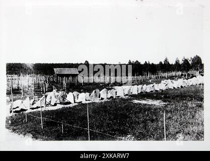 Barriere di confine al confine tra Finlandia e URSS. Foto: Kartoo [traduzione automatizzata] Foto Stock