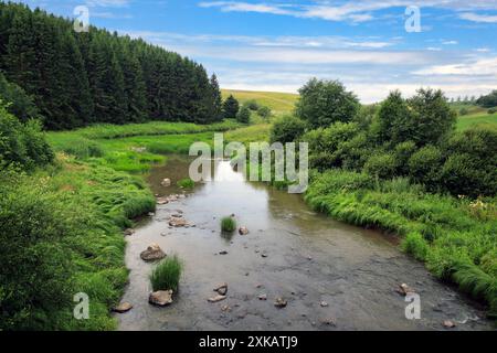 Rapide di Illinkoski, fiume Uskelanjoki a Pertteli, Salo, Finlandia, visto dal ponte Illinkoski in una giornata limpida di luglio. Foto Stock